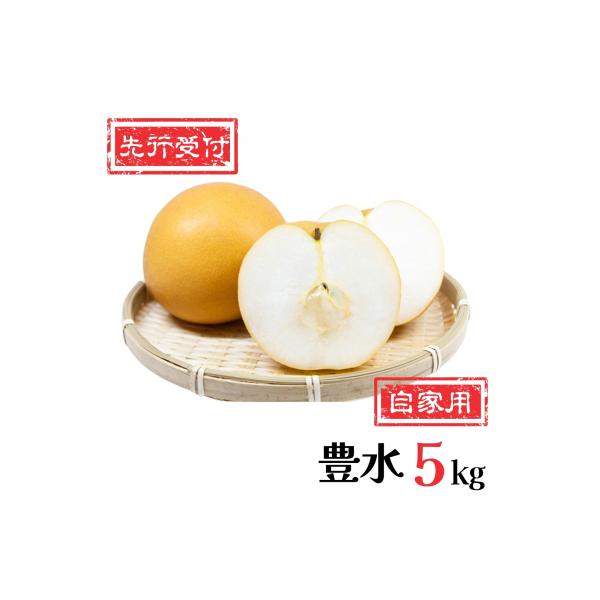 先行受付和梨 豊水 自家用 5kg [9月中旬～順次発送予定] 訳あり 梨【010P054】