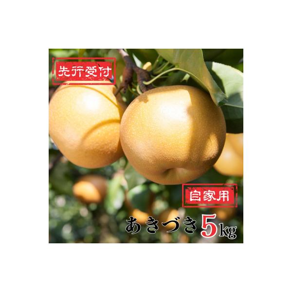 先行受付 和梨 あきづき 自家用 5kg[9月中旬～順次発送予定]新潟県産 訳アリ【010P062】
