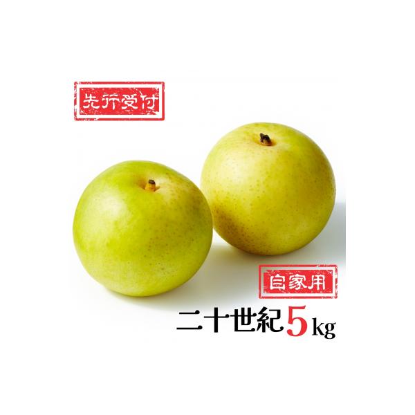 先行受付 新潟県産 和梨 二十世紀 自家用 5kg  [岩福農園]  訳アリ 梨【010P057】