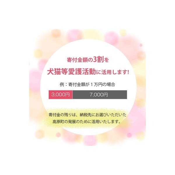 【返礼品なし】宮崎県高原町 犬猫等愛護活動 犬と猫と人に住みよい共生社会づくりを応援 sm3002