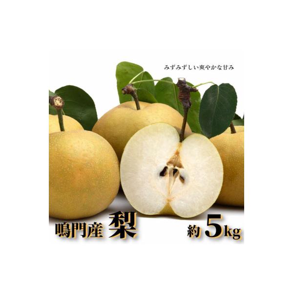 【先行受付中・2026年8月中旬頃より順次発送】旬の美味しさをお届け! 徳島県鳴門市産 「梨」