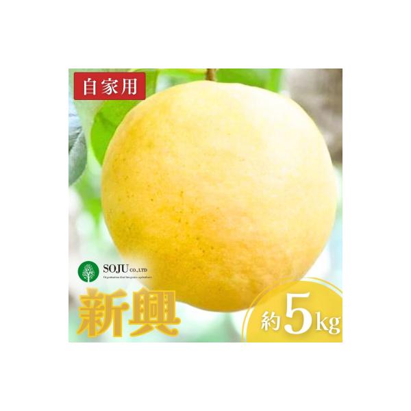 ■お礼品詳細　・事業者：株式会社想樹　・地場産品基準：1 三条市内で生産されているため。　・提供元：三条市■お申し込み・配送・その他　・発送時期：申込完了から1〜2週間程度※天候や生育状況によって、お届け時期が前後する場合がございます。　・...