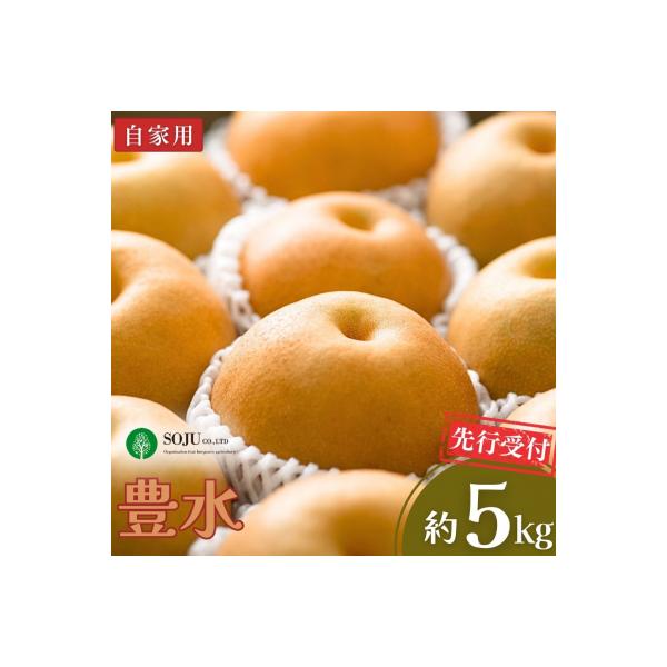 先行受付 和梨 豊水 自家用 5kg  [三条果樹専門家集団] 【010P055】