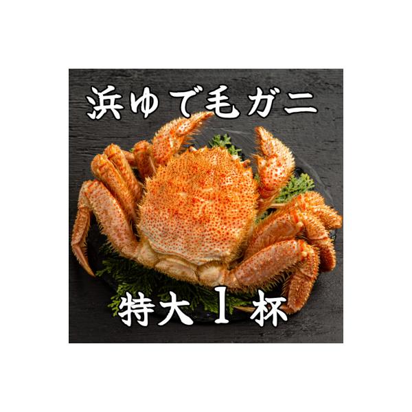 流氷明け浜ゆで毛ガニ　特大1杯