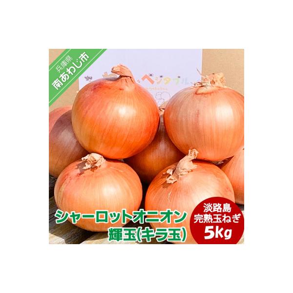 大地の恵み!淡路島の完熟玉ねぎ【シャーロットオニオン　輝玉(キラ玉)】5kg【6月中旬から配送】