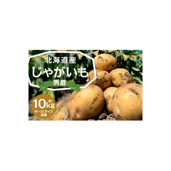 北海道産じゃがいも(男爵) 約10kg 山田農場