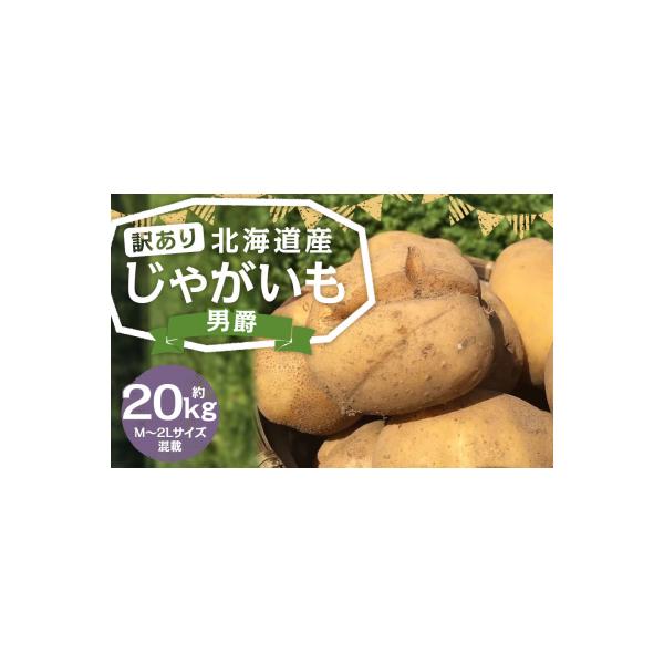 【訳あり】北海道産じゃがいも(男爵) 約20kg 山田農場