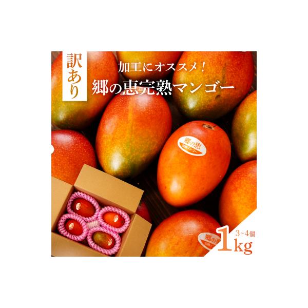 【訳アリ】1kg 大崎完熟マンゴー「郷の恵(さとのめぐみ)」加工用マンゴー(糖度10度前後)