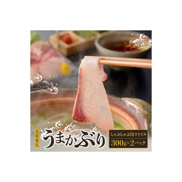 【天草育ち/産地直送】活じめ!うまかぶりしゃぶしゃぶ用スライス　300g×2P_S137-007