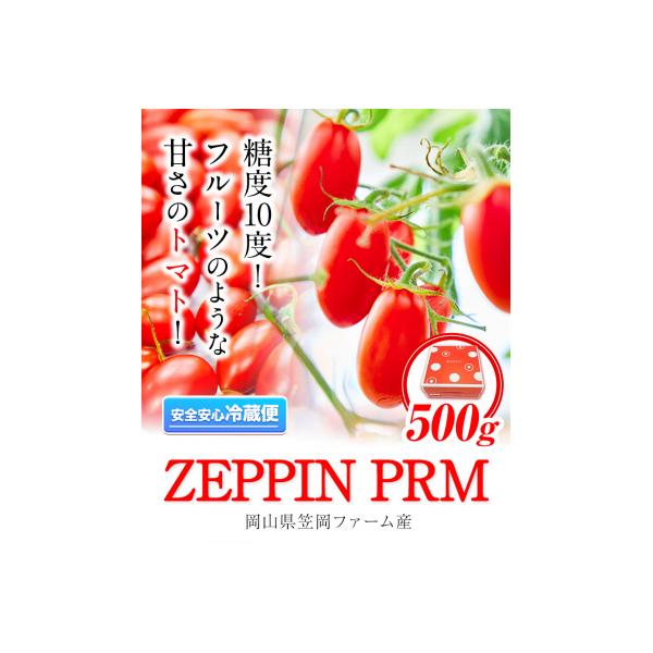 ZEPPIN PRM(プレミアム)500g　A-187a