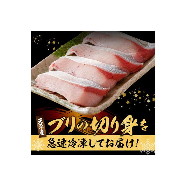 ブリ切り落とし(皮付)約2.1kg_S010-079