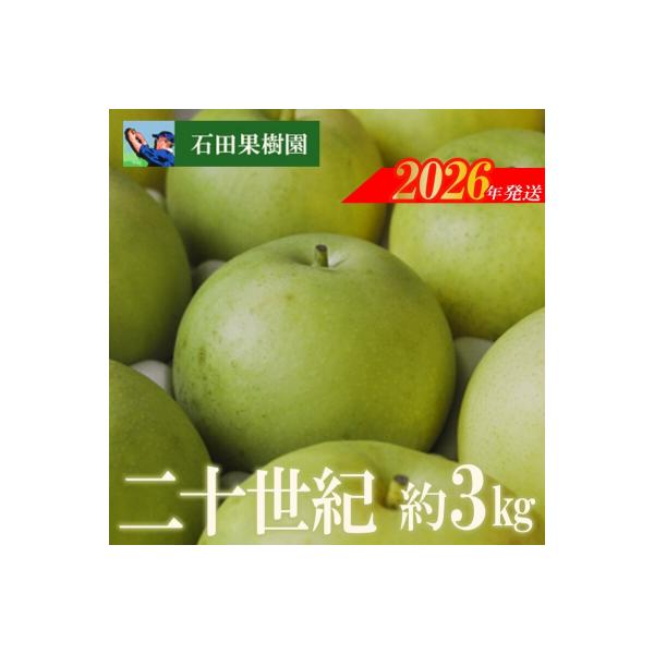 ■お礼品詳細　・事業者：石田果樹園　・内容量：約3kg(6〜9玉入)　・賞味期限：発送日より7日　・配送方法：通常便　・提供元：福島市■お申し込み・配送・その他　・発送時期：2026年9月中旬から2026年9月下旬発送予定　・申込受付期間：...