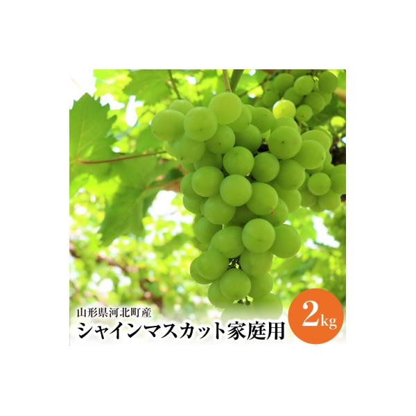 【令和8年産】ご家庭用シャインマスカット 2kg(2～4房) 山形県河北町産【JAさがえ西村山】