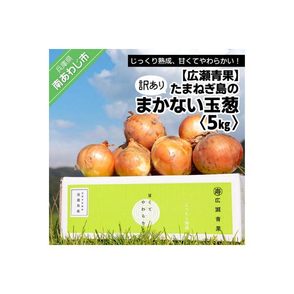 【広瀬青果】たまねぎ島のまかない玉葱【訳あり】5kg