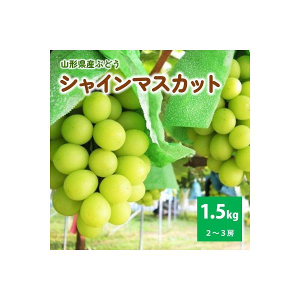 ぶどう(シャインマスカット)1.5kg　ご家庭用　0025-2612