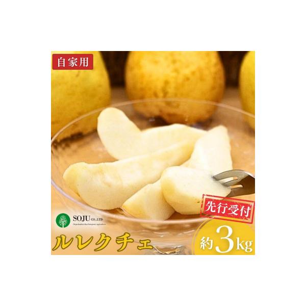 先行受付 ル レクチェ 自家用 約3kg 洋梨 JGAP認証農場 幻の西洋梨 【010P067】