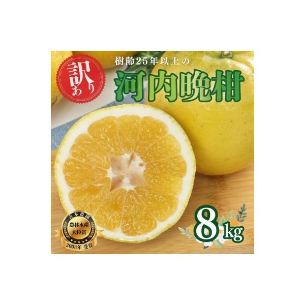 【訳あり】 河内晩柑(愛南ゴールド) 8kg 吉本農園 みかん 愛媛県 愛南町