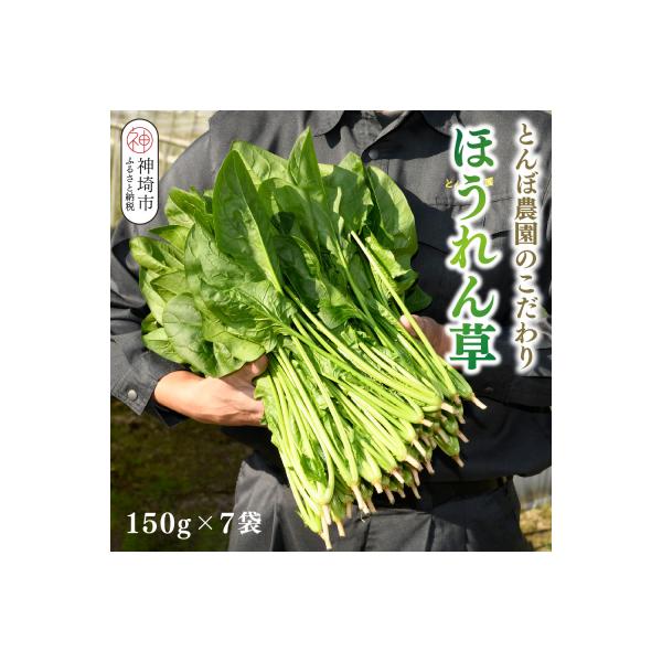 ほうれん草 約1kg(150g x 7袋)【佐賀県脊振山麓産】(H091113)