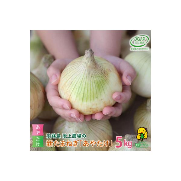 ■お礼品詳細　・配送方法：常温　・提供元：淡路市■お申し込み・配送・その他　・発送時期：2026年3月下旬〜5月頃(天候や収穫の状況により前後する場合がございます)　・申込受付期間：2026年5月まで(天候や収穫の状況により前後する場合がご...