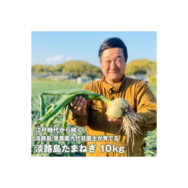 淡路島たまねぎ(10キロ)　aa28011