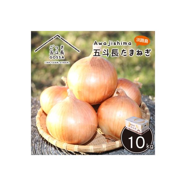 五斗長たまねぎ 10kg 淡路島産玉ねぎ　ag01607