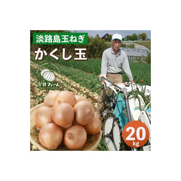 今井ファームの淡路島たまねぎ「かくし玉」20kg　ai01156