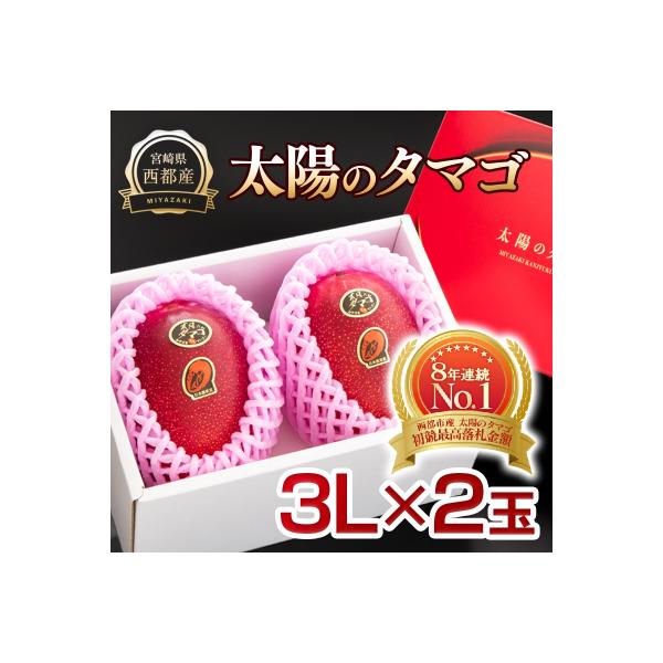 【太陽のタマゴ3L×2玉】西都市産完熟マンゴー『先行受付』[2361]