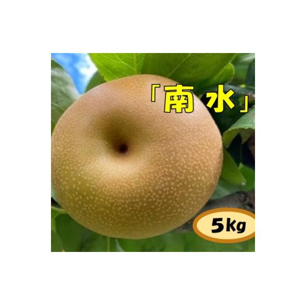 【数量限定】ガブッ!シャキ!ジュワー!と甘すぎ南水(梨　南水　5キロ)