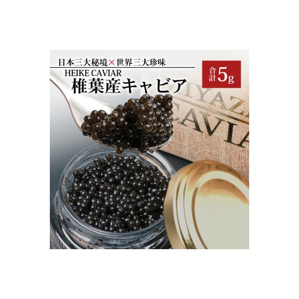 ふるさと納税 椎葉村 【桐箱入り】HEIKE CAVIAR キャビア 5g SZ-118