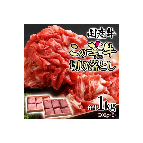 【宮崎有田牧場】国産牛切り落とし1kg(500g×2)ブランド牛「この華牛」牛肉[2818]