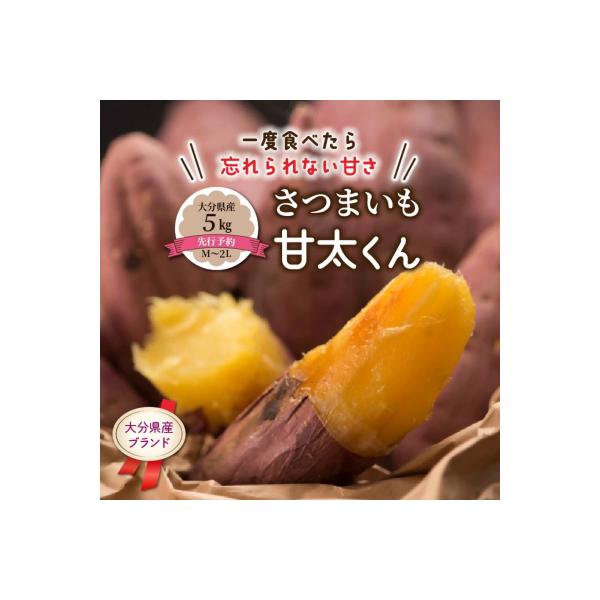 【先行受付】さつまいも 甘太くん 5kg 大分県産 M～2L 紅はるか サツマイモ_2291R