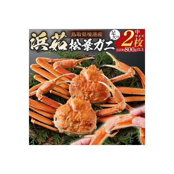 <火～木着><11月中旬～3月上旬発送予定>浜茹松葉ガニ足欠(2枚/計約800g以上)