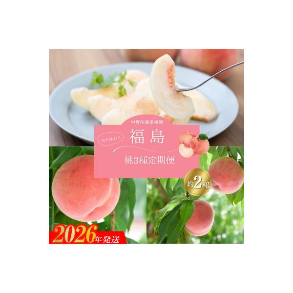 中野/佐藤果樹園 福島の桃3種定期便 各約2kg【2026年発送 先行受付】No.2791