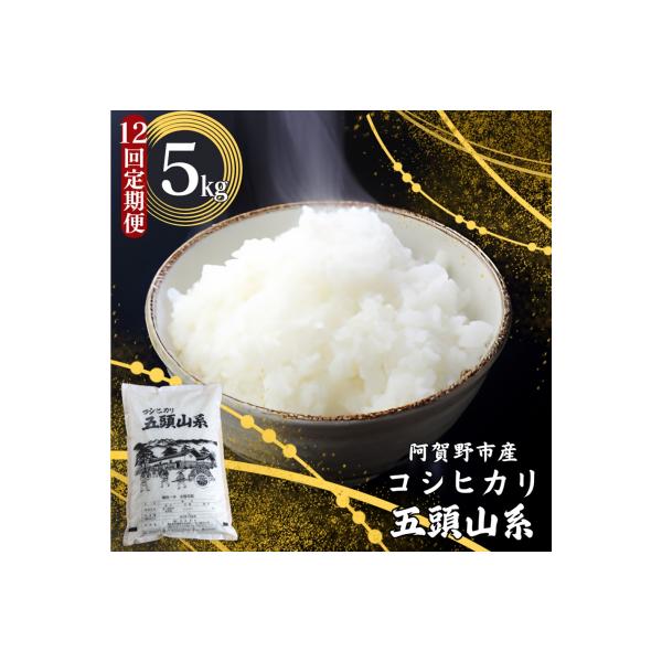 【令和7年産】【12回定期便】「米屋のこだわり阿賀野市産」コシヒカリ5kg×12回