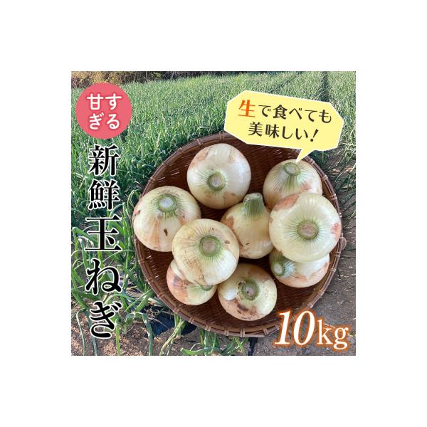 ■お礼品詳細　・内容量：玉ねぎ「早生」「甘七宝」のどちらか 10kg　・配送方法：通常便　・消費期限：出荷日より常温風通しのよい場所で2週間　・事業者：宮下正行　・提供元：富岡市■お申し込み・配送・その他　・発送時期：2026年5月12日〜...