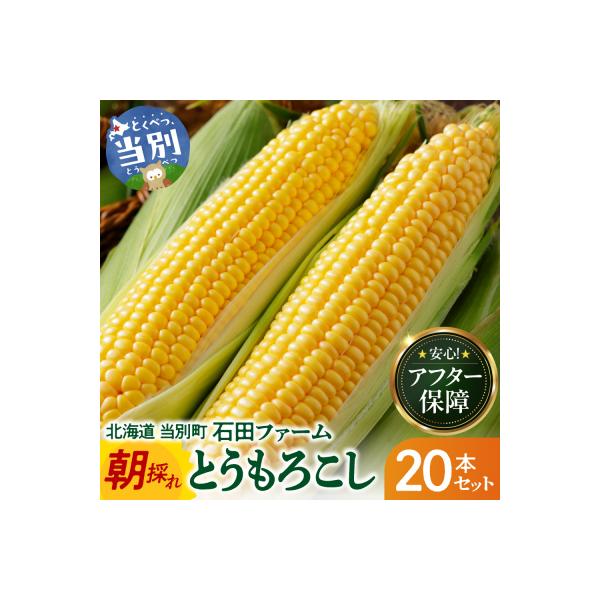 【令和8年発送先行受付】石田ファーム　とうもろこし詰め合わせ20本セット_tb19-004