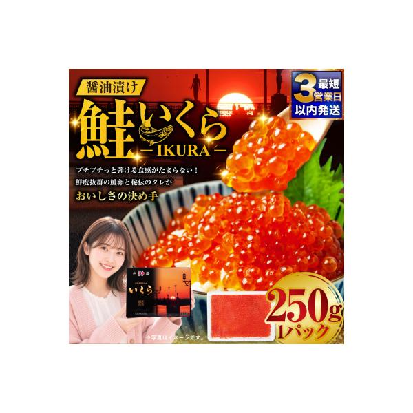 【最短3営業日以内発送】鮭 いくら 醤油漬け 250g×1パック F5F-0097