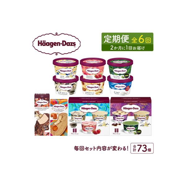 <全6回・隔月>食べ比べ定期便!ハーゲンダッツ人気セット_H0016-178
