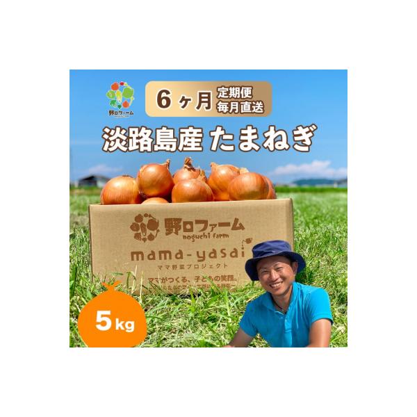 【6回定期便】mama-yasai たまねぎ5kg