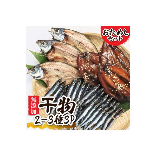 【お試し 干物セット】季節の魚入り 干物詰め合わせセット 2～3種類【乾物・ギフト対応】R00795