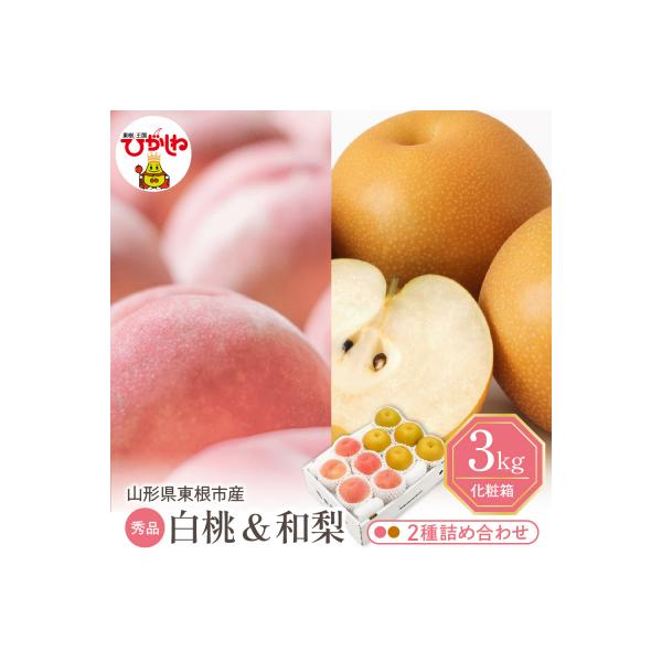 ■お礼品詳細　・容量：約3kg ・白桃(4-7玉) ・和梨(4-7玉) ※合わせて3kg相当をお届けします。　・アレルギー：28品目中:もも　・配送方法：冷蔵便　・提供事業者：東根農産センター　・産地：東根市　・提供元：東根市■お申し込み・...