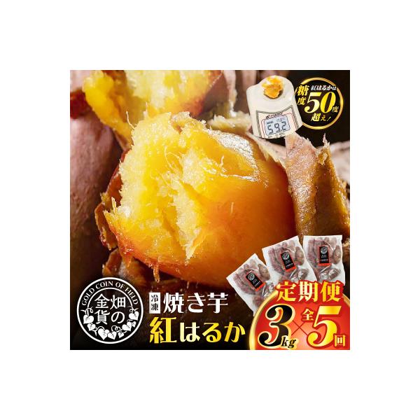【全5回】【畑の金貨】焼き芋紅はるか3kg 定期便　K181-T02
