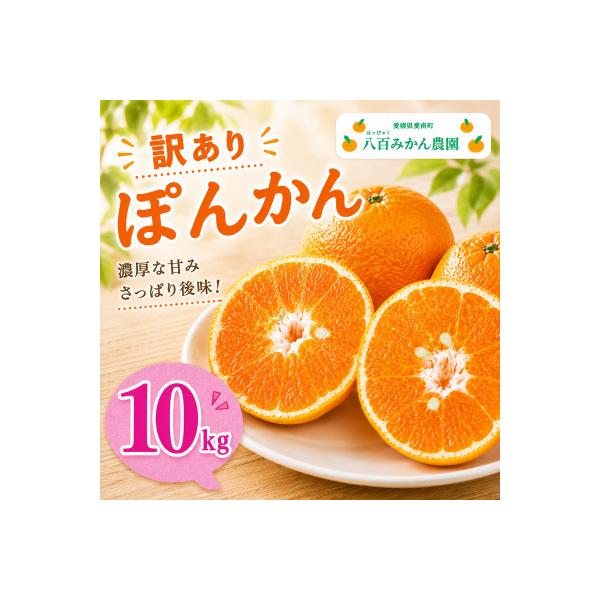 【先行予約】発送:2027年1月下旬～八百みかん農園 の 訳あり ぽんかん 10kg