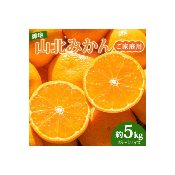 【令和8年10月下旬発送開始】訳あり 山北みかん 5kg 家庭用 温州みかん 人気 ku-0054