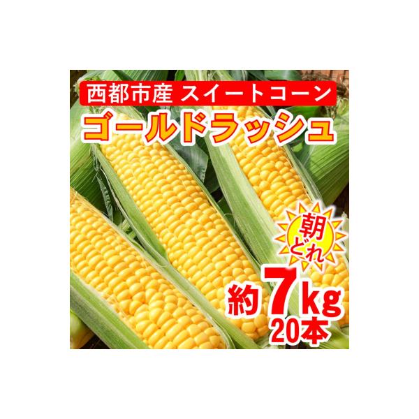 ■お礼品詳細　・内容量：7kg前後(およそ20本)　・消費期限：発送から1週間程度(冷蔵庫に保管の上お早目にお召し上がりください)　・発送方法：冷蔵便　・提供事業者：ユウエス　・提供元：西都市■お申し込み・配送・その他　・発送時期：令和8年...