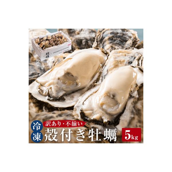 <訳あり・不揃い>冷凍殻付き牡蠣 5kg 宮城県 石巻市 三陸産 カキ かき 加熱用 カンカン焼き