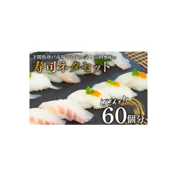 寿司ネタセット BV009