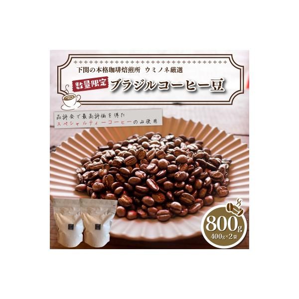 【豆】 訳あり コーヒー豆 800g(400g×2袋) ブラジル EW144-A-x