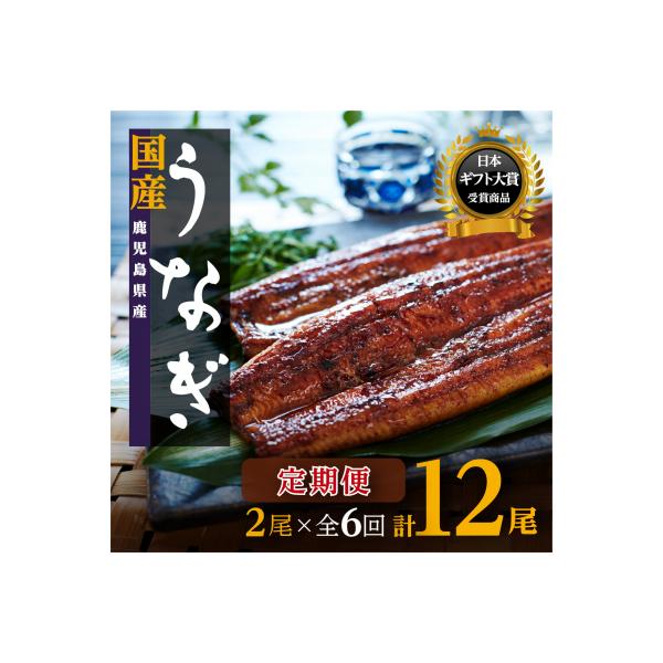 【定期便】おおさきうなぎ鹿児島県産うなぎ長蒲焼2尾(全6回)合計12尾