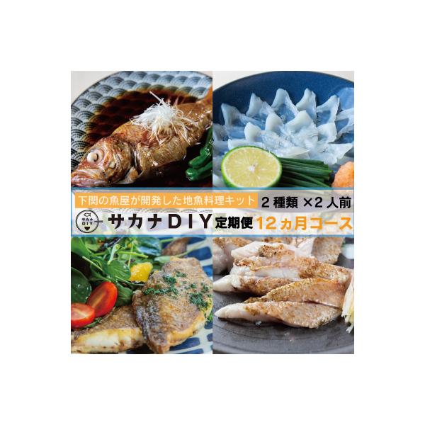 【定期便12ヶ月】 サカナDIY 2人前 2種×12ヶ月 冷凍 真空 鮮魚 魚料理キット CX208